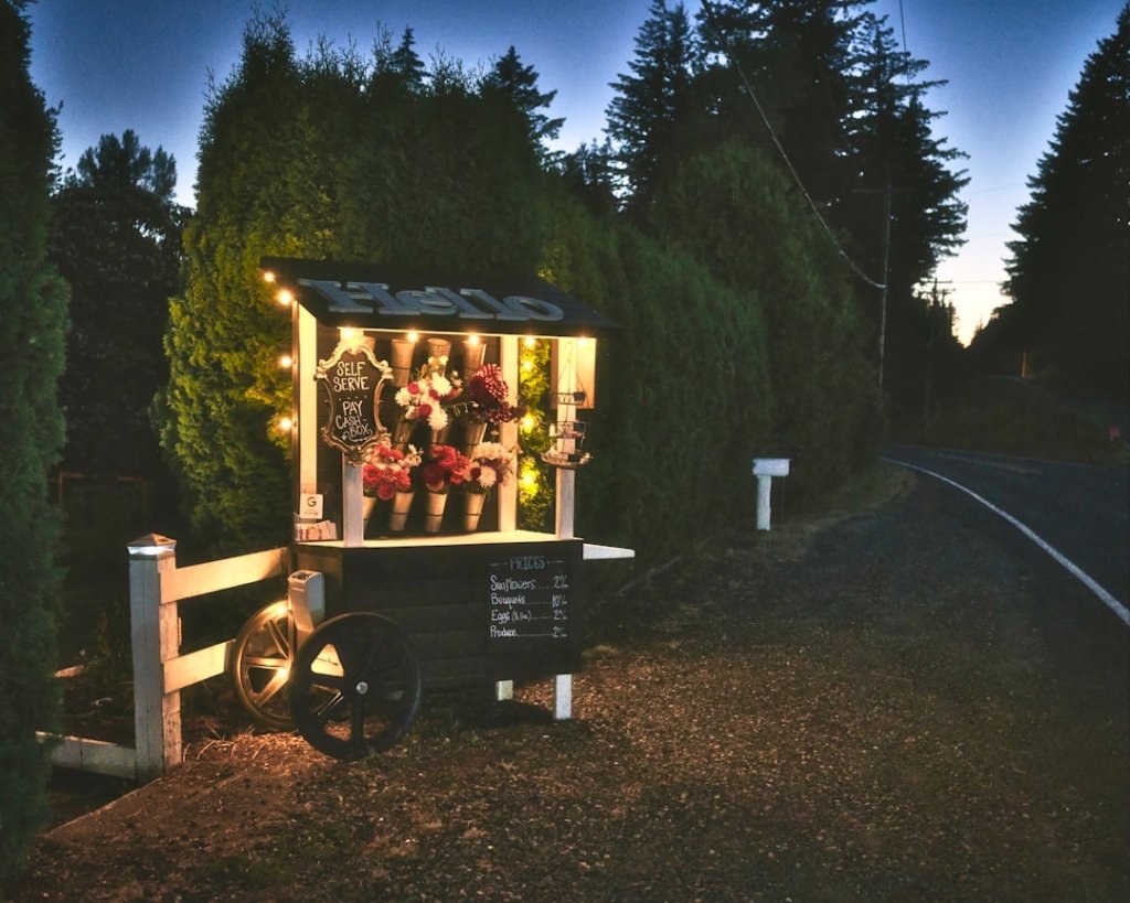 Photo wedding photo booth rental